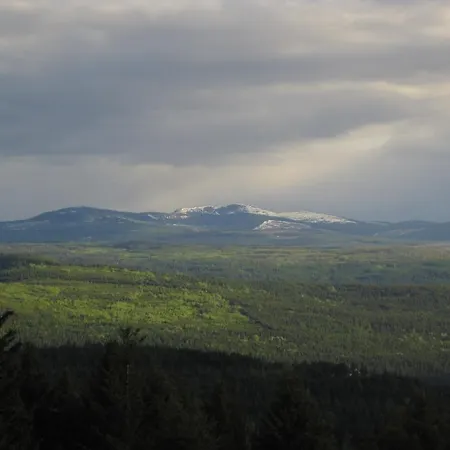 Wild Nature B&B Kelowna Extérieur photo