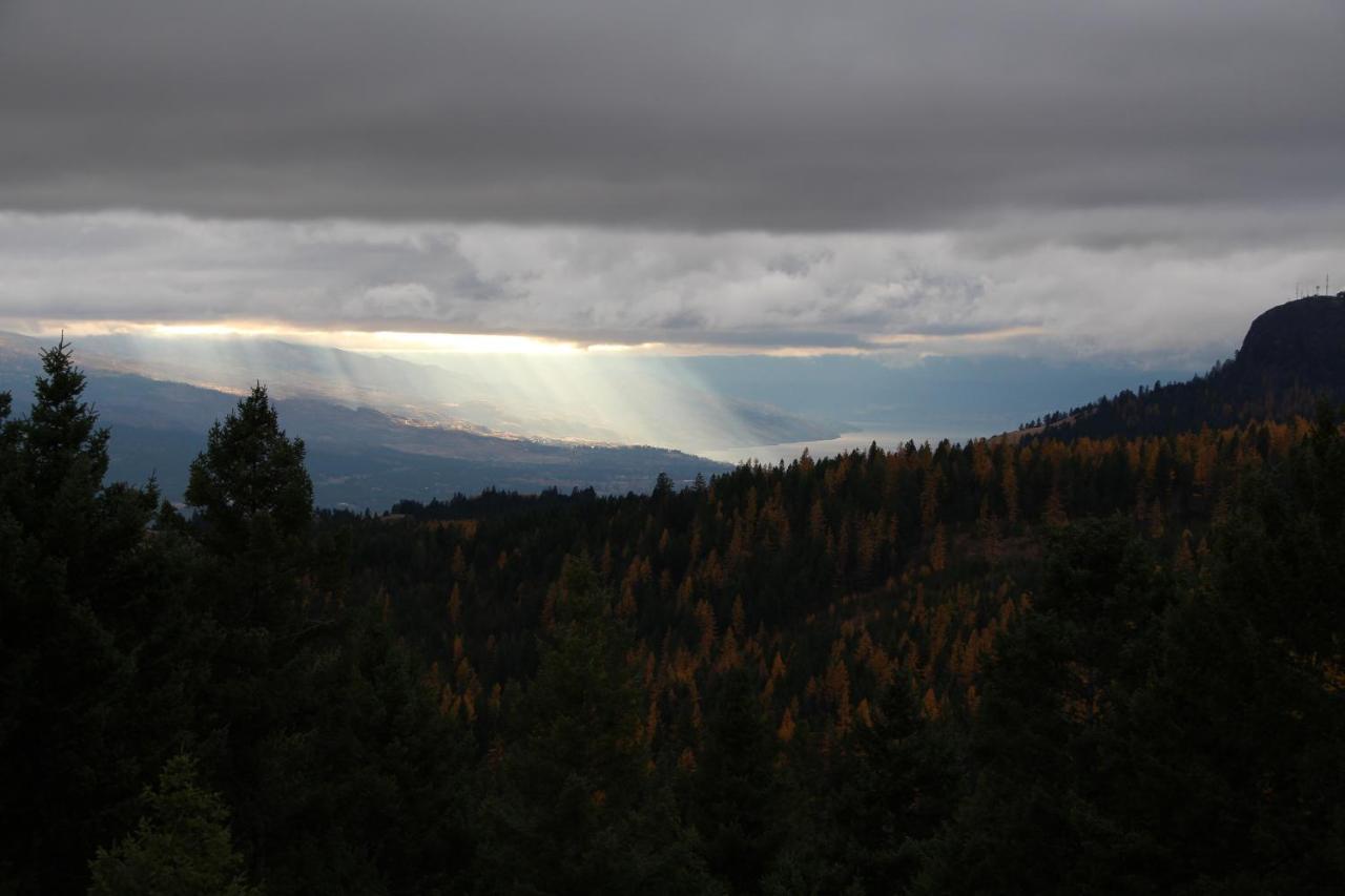 Bed & Breakfast Wild Nature Kelowna