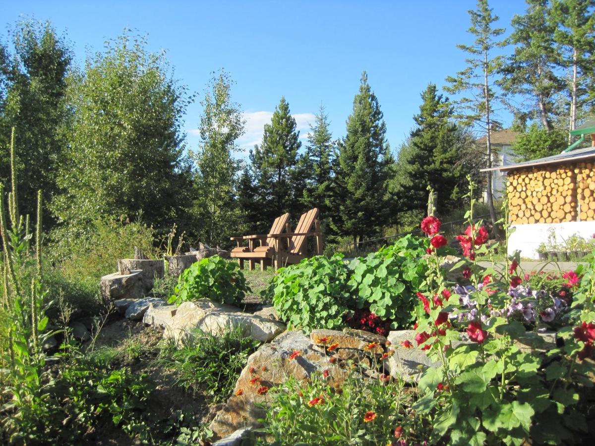 Bed & Breakfast Wild Nature *